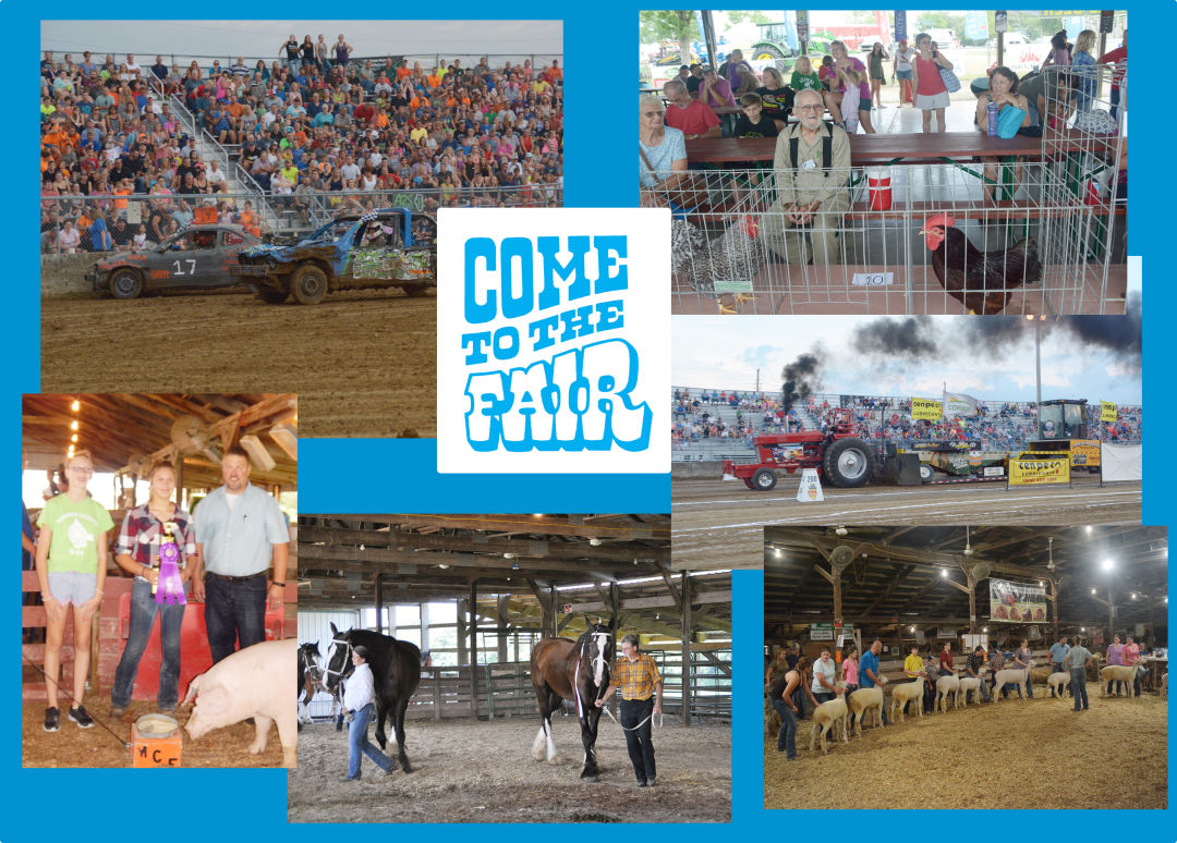 Come to the Fair!